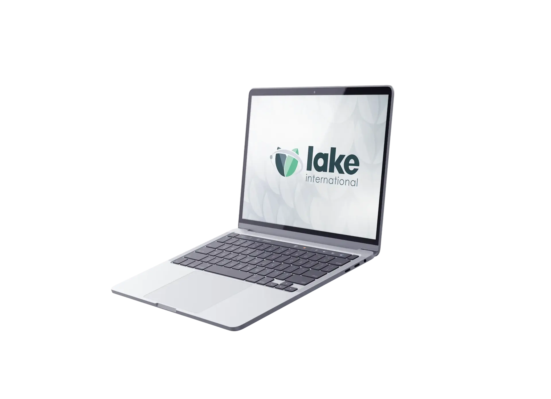 Laptop displaying Lake International's new logo